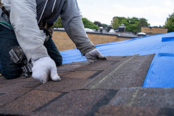 Best Roof Gutter Cleaning  in Kelso, WA
